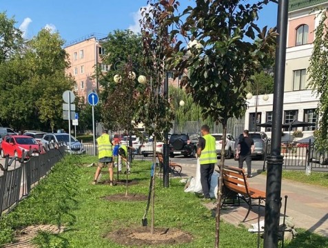 В Калуге озеленение преобразило три территории