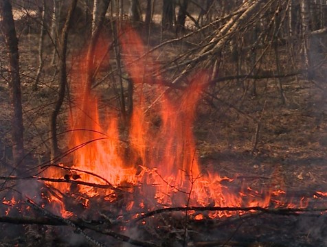 6 районов Калужской области сохраняют статус наиболее пожароопасных