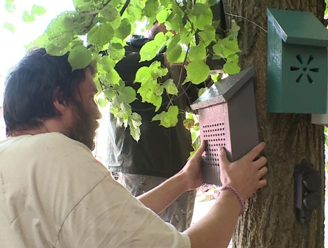 Звуковые скворечники появились в Калуге в рамках фестиваля 