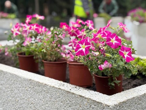 В Калуге у могилы Циолковского высадили цветы