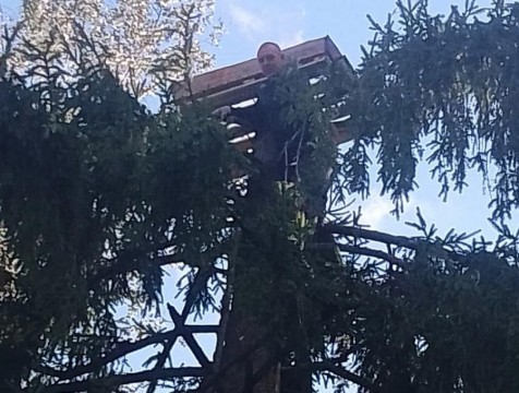 В Спас-Деменском районе к следующему году обустроили гнездо для аистов