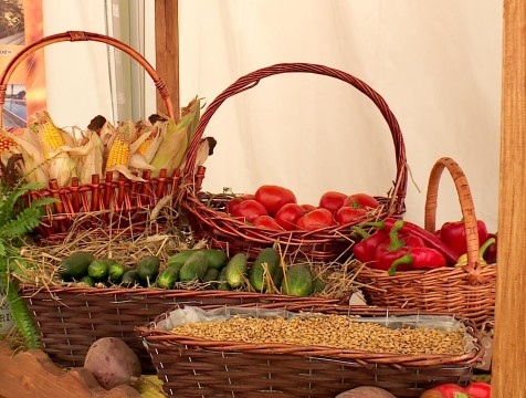 Калужан приглашают на праздник урожая