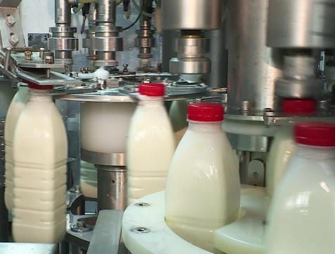 Производство молока выросло почти на 7% в Калужской области