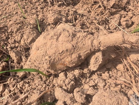 Ручную гранату обезвредили под Тарусой