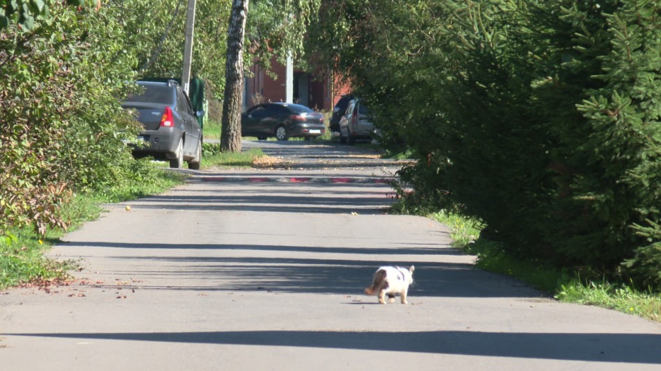 Боровск и Малый 3.jpg