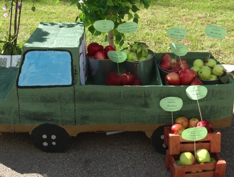 Достижения калужских юннатов представили на областной выставке-конкурсе