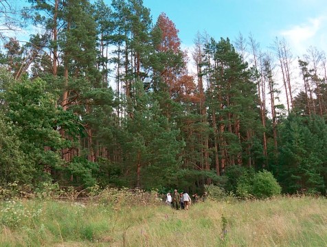 О высокой пожарной опасности 15 и 16 сентября предупреждают калужан