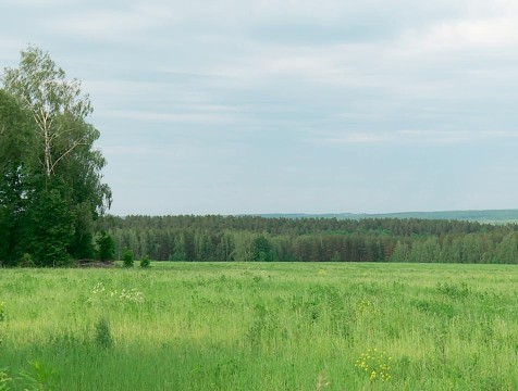 Сотрудника ферзиковского предприятия обвинили в загрязнении атмосферы