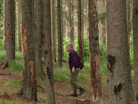 Калужан призывают быть особо внимательными в лесу в пожароопасный сезон