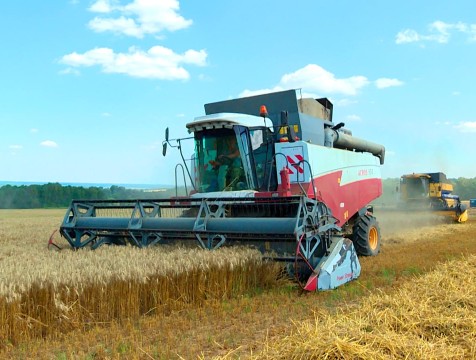 Калужские аграрии собрали 79% посевов зерновых культур