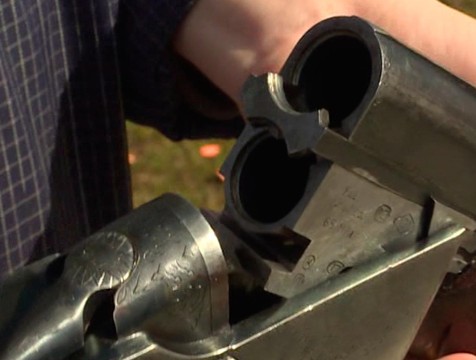 Полиция Калуги устанавливает обстоятельства убийства собаки