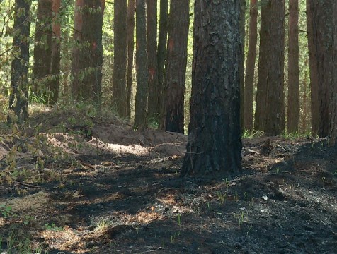 4-й класс пожарной опасности сохраняется в Калужской области