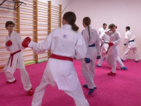 Калужские каратисты завоевали медали на первенстве ЦФО