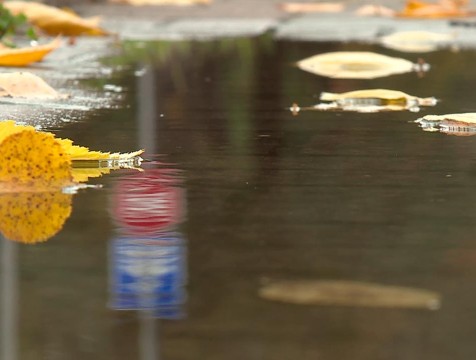 Небольшие дожди придут в середине недели в Калужскую область