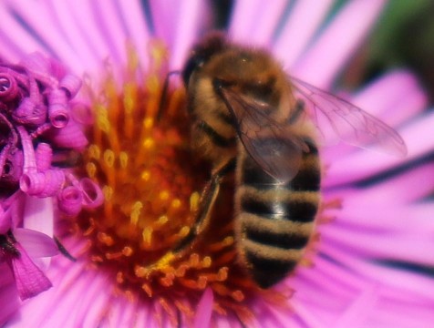 В Медыни работает 