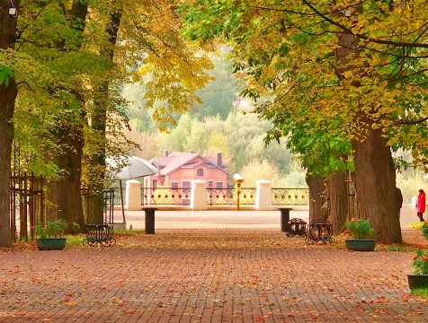 Прощание с летом и ярмарка животных: калужанам рассказали о мероприятиях выходных