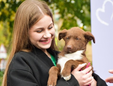 Шесть бездомных животных с калужской ярмарки обрели дом