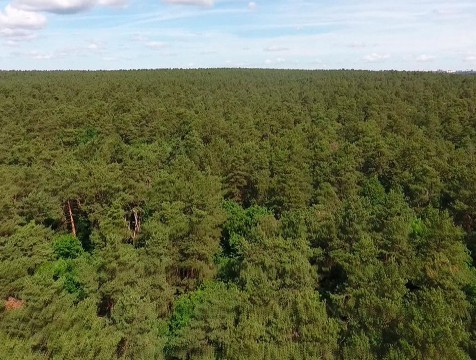 Класс пожарной опасности понизился в шести районах Калужской области