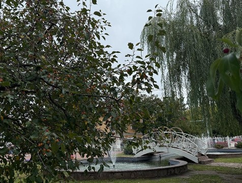 Четверг в Калуге станет самым холодным днем недели