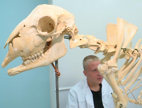 Выставка достижений студентов учреждений СПО прошла в Калуге