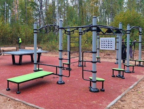 В калужском Губернском парке установили 4 спортивных площадки
