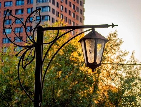 Губернский парк в Калуге благоустроят по программе охраны природных территорий