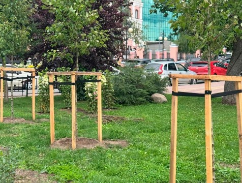 5 308 растений высадили за 2025 год в Калуге