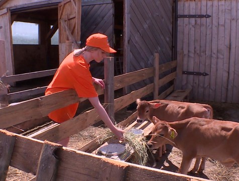 К 2028 году в Калужской области создадут 90 агроклассов