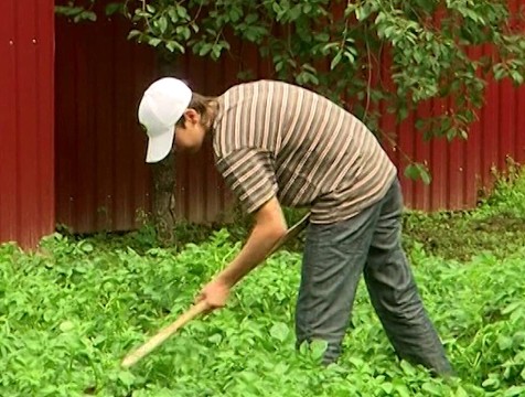 Число работающих летом подростков выросло на 6% в Калужской области