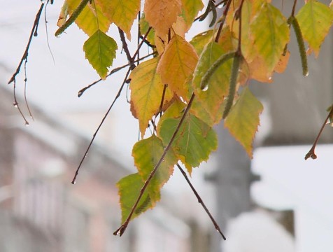 Дожди и мокрый снег прогнозируют в Калужской области на наступившей неделе