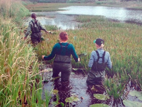 Калужские работники заповедного дела отмечают профессиональный праздник
