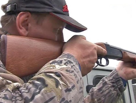 В Калужской области возобновили выдачу разрешений на охоту