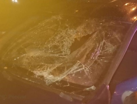 Иномарка сбила пешехода на трассе в Жуковском районе