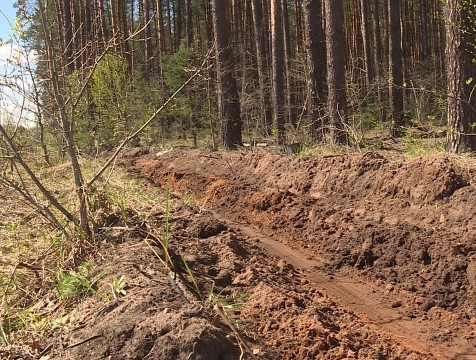 Лесопожарная обстановка в Калужской области не изменилась