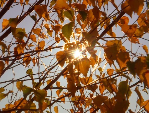 Солнце порадует жителей Калужской области в середине недели