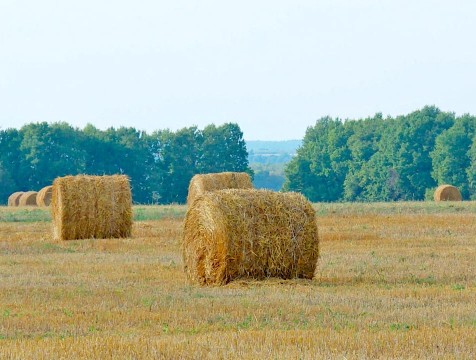 111 тысяч тонн кормов заготовлено в Калужской области