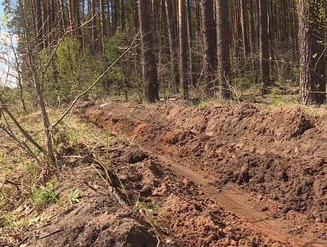 Пожароопасный сезон завершился в Калужской области
