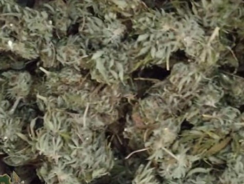 До 10 лет грозит за хранение марихуаны жителю Боровского района