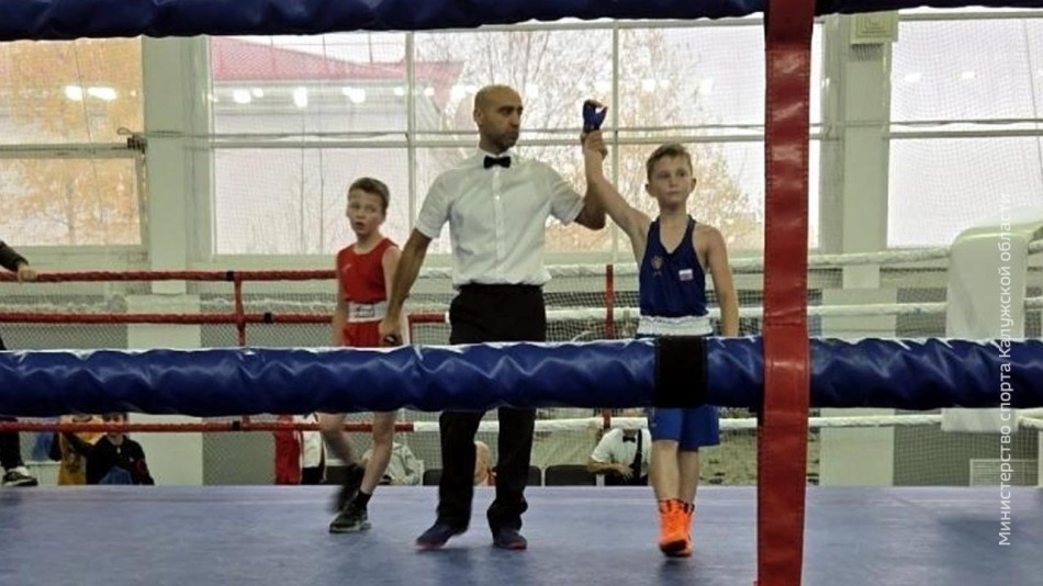 боксеры-минспорта.jpg