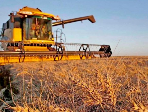 Почти на 27% вырос урожай зерна в Калужской области