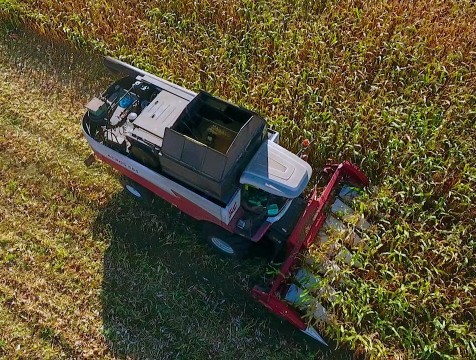 Рекордный урожай кукурузы собрали аграрии Калужской области