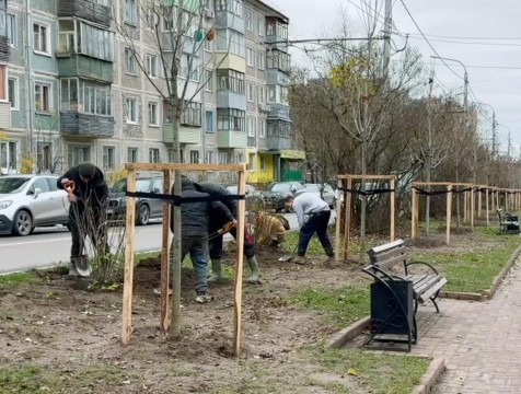 На бульваре Степана Разина в Калуге высадили 35 кустов сирени