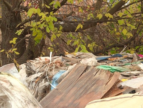 В калужском лесу ликвидировали свалку по решению суда