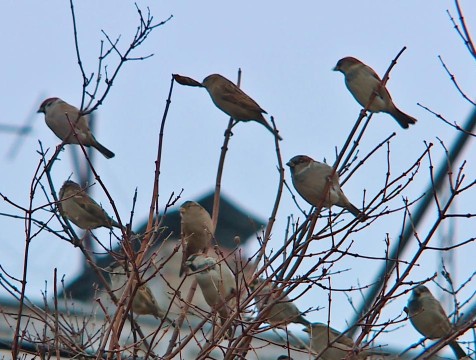 Выходные в Калужской области ожидаются теплыми и сухими