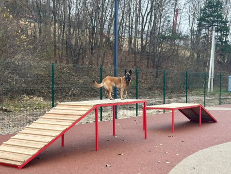 Обновленную площадку для дрессировки собак открыли в Калуге