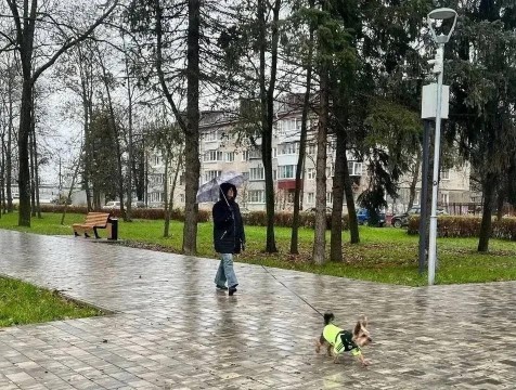 Сквер с уникальными кинетическими скульптурами открылся в Обнинске