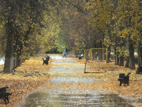 Столетний рекорд тепла в ноябре зафиксировали в Калужской области