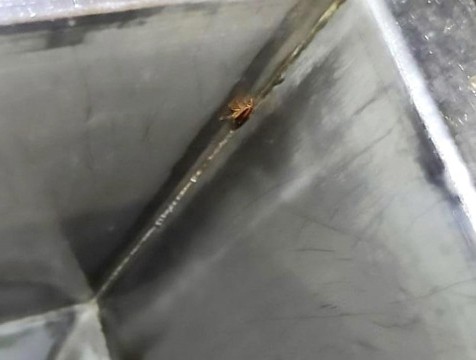 Два молокозавода-нарушителя закрыли в Калужской области