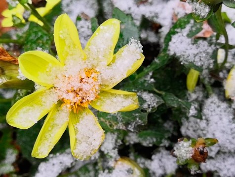 Первый снег и штормовой ветер ожидается на выходных в Калужской области