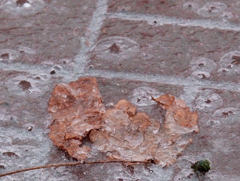 Калужан предупредили о сильном мокром снеге и гололедице 15 ноября